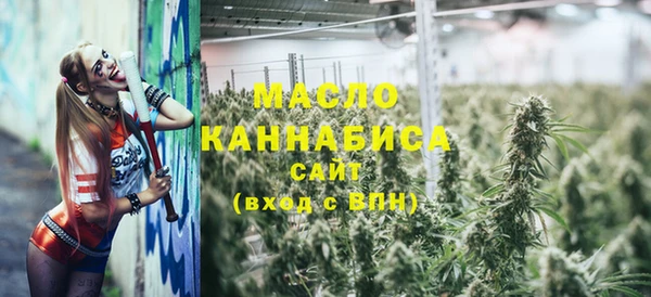 дмт Зеленодольск