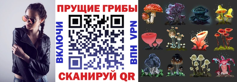 KRAKEN зеркало  Березники  Галлюциногенные грибы ЛСД 