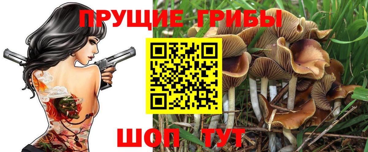 Галлюциногенные грибы Magic Shrooms Березники